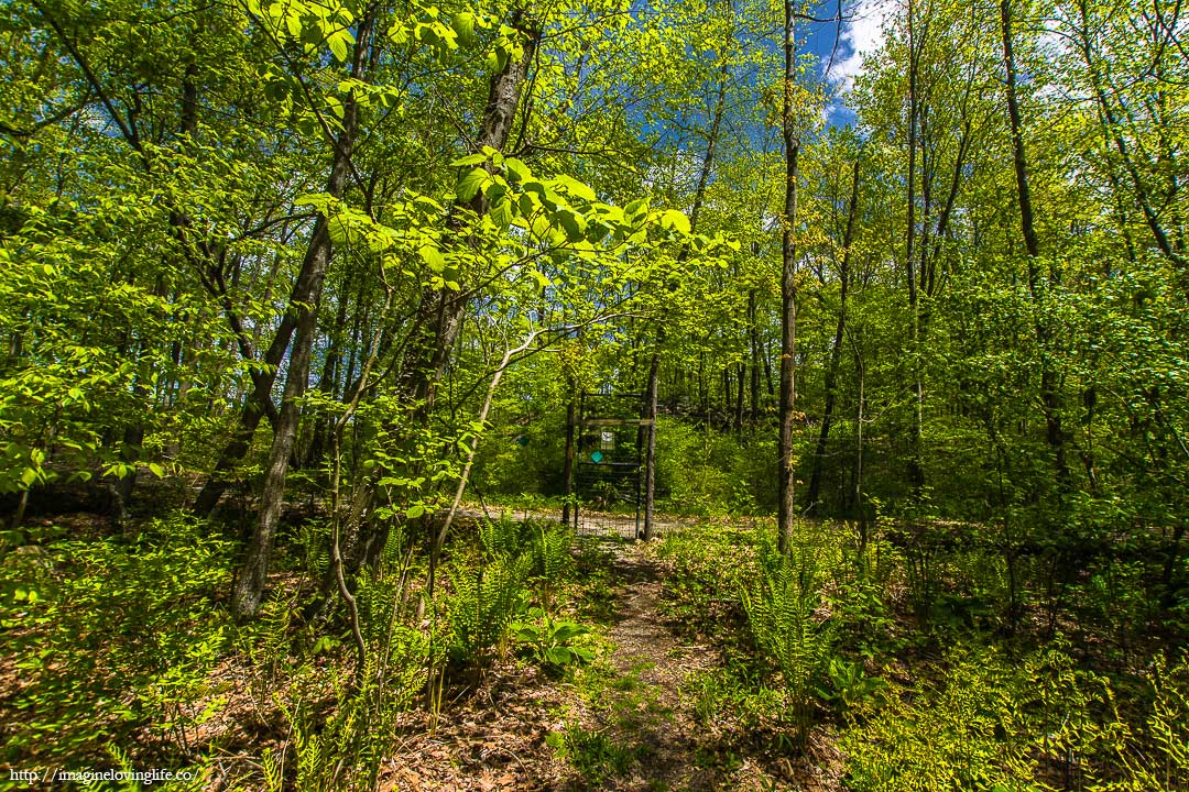 green trail door